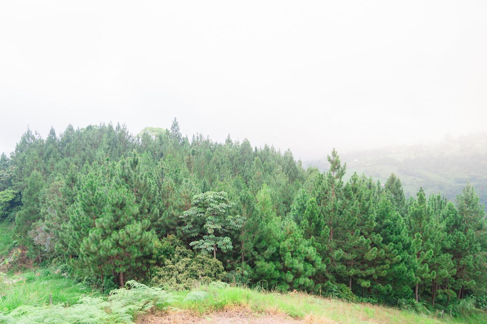 Farm stay Primavera Ecoalbergue La Vega (Cundinamarca)